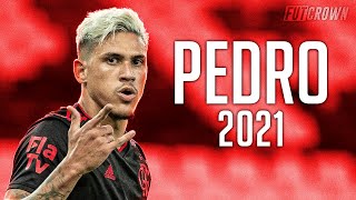 Pedro 2021 ● Flamengo ► Amazing Skills Goals amp Assists  HD [upl. by Ahtekal19]