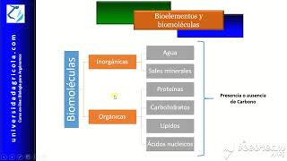 Video 3 Bioelementos y biomoléculas [upl. by Dnumde]