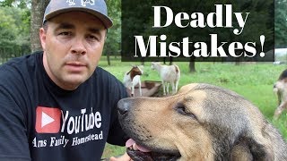 Top 3 DEADLIEST Mistakes New Goat Owners Make [upl. by Artekal]