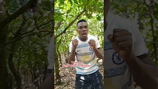 Worst nightmare 😱😱 kemistry babaefetv kamata nsemfietv topfunnyltd comedy [upl. by Aslehc]