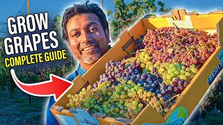 How to GROW GRAPES  Complete Growing Guide [upl. by Emse]