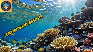 Exploring the Most COLORFUL Coral Reefs in Roatan [upl. by Jamila]