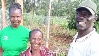 Phased approach for Susans grandmas forest garden at Kiburanga Migori  Kenya [upl. by Adamik]