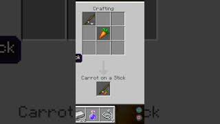 Minecraft Carrot Where To Find Carrots In Minecraft [upl. by Rehotsirk]