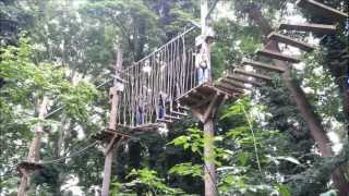 Treetop Challenge [upl. by Rai]