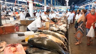 4k Mercado Municipal de Manaus Peixes da AmazôniaEP 04 [upl. by Anaihr755]