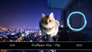 Professor Kliq  Flip [upl. by Karr]