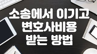 소송에서 이기고 변호사 비용 받는 방법소송비용확정신청의 모든 것 [upl. by Jamal215]