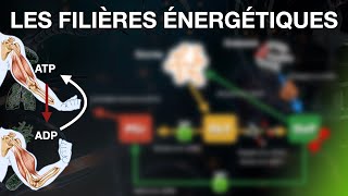 Les filières énergétiques et leurs interactions [upl. by Annawot]