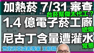 加熱菸審查20240731 臺灣菸酒幫傑太代工加熱菸彈？ 14億電子菸工廠太唬爛 電子煙尼古丁含量灌水是常態 ft世衛菸草減害專家王郁揚 [upl. by Zebapda]