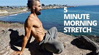 5 Minute Stretching Routine Follow Along [upl. by Ginger]