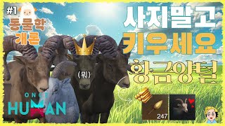 원스 휴먼 동물학개론 1편  양을 키워 황금 양털을 얻는 방법How to get golden wool in once human [upl. by Nreval]