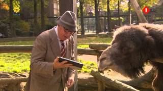 Andre Van Duins Animal Crackers 2013 S01E06 [upl. by Suiraj]