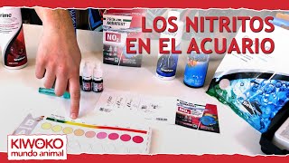 ⚠️Nitritos en el acuario NO2⚠️ Cómo medirlos y cómo eliminarlos [upl. by Aiuqes]