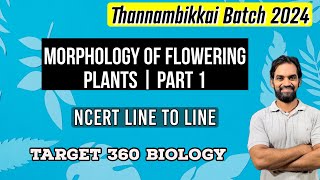 Morphology of Flowering Plants  Part 1  TB 2024 [upl. by Nobel]