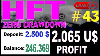 The Best HFT ROBOT Arbitrage FOREX EA  Investment in FOREX High Frequency Trading 2022 [upl. by Mignon486]