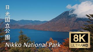 Nikko National Park in Autumn  日光国立公園  8K Ultra HD [upl. by Lennon]