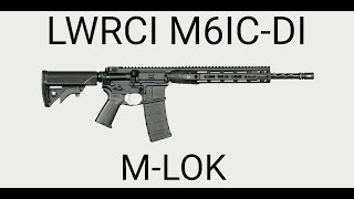 LWRC M6IC Rifle amp Setup Overview [upl. by Kamila444]