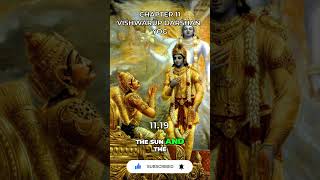 Bhagavad Gita Chapter 11 1119 [upl. by Neelac858]