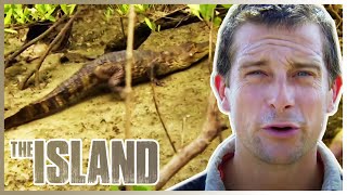 DEADLY Scorpions Snakes amp Crocodiles 🐊  The Island With Bear Grylls  S02 E01  Thrill Zone [upl. by Disraeli]