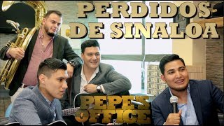 LOS PERDIDOS DE SINALOA LA TRAEN  Pepes Office [upl. by Shaddock]