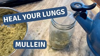 Boost Your Lung Health Naturally A StepbyStep Guide to Making Mullein Tea [upl. by Charity939]