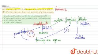 A Corpus luteum is a temporary endocrine gland R Corpus luteum does not secrete any hor [upl. by Rudich]