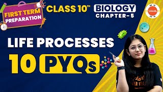 Life Processes Class 10 PYQ  NCERT Class 10 Science Chapter 6 Important Questions  CBSE 2024 [upl. by Jemina]