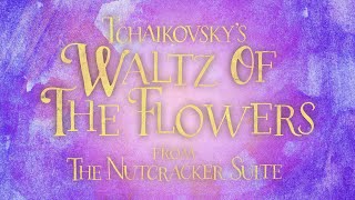 Tchaikovsky Waltz Of The Flowers  from The Nutcracker Suite Visualization [upl. by Widera403]