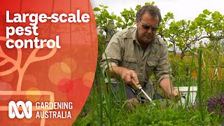 4 methods this largescale botanic garden uses to manage pests  Pest Control  Gardening Australia [upl. by Willa]