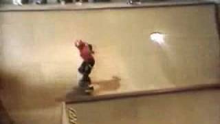 Powell Peralta Ban This Steve Caballero [upl. by Yenahs]