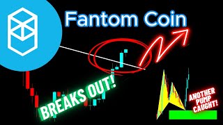 Fantom Crypto FTM  Crypto Coin Breaks Out [upl. by Vacuva]