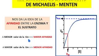 CINÉTICA ENZIMATICA ecuación de michaelis Km [upl. by Kcirdnekal]