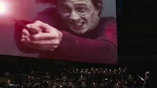 Harry Potter et la Coupe de Feu  CinéConcert  281224  Arkéa Arena  Bordeaux [upl. by Aicemed853]