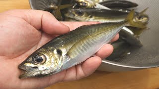 小アジの簡単なさばき方と唐揚げの作り方（エラと内臓を簡単に取る方法） deepfried horse mackerel [upl. by Banebrudge]