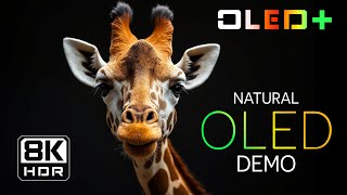 OLED DEMO  Enchanting Scenery in 8K HDR  Dolby Vision™ [upl. by Nitsed819]