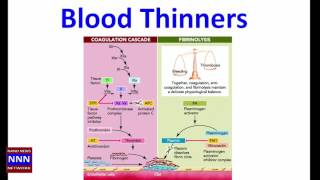 Blood Thinners Aspirin Plavix coumadin Xeralto Eliquis by DR NIK NIKAM for NNN [upl. by Ardnaxila]