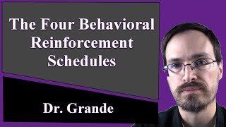 The Four Schedules of Reinforcement in Behaviorism [upl. by Hwu]