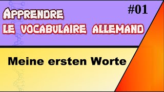 Apprendre et réviser le vocabulaire allemand 01 Meine ersten Worte [upl. by Alyosha]