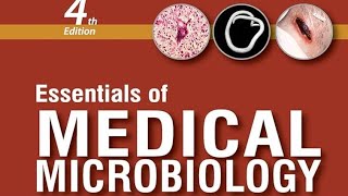 CANDIDA infection microbiology mbbs [upl. by Esihcoc]