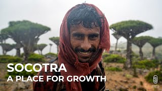 Socotra  A Place for Growth [upl. by Aratnahs]