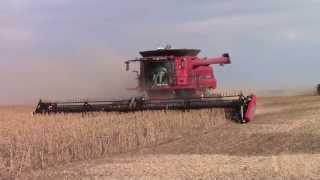 Case IH 9230 Tracked Combines Harvesting Soybeans [upl. by Lavelle]