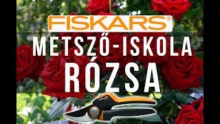 Hogyan kell metszeni a rózsát  Fiskars metszőiskola [upl. by Silsbye]