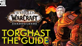 THE Guide To Torghast  World of Warcraft Shadowlands [upl. by Lukasz]