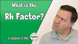 What is the Rh Factor in DNA  Genetic Genealogy Explained [upl. by Enilecram409]