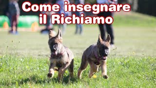 Come addestrare il tuo Cane a tornare al Richiamo  Addestramento Cani [upl. by Wilhelmine551]