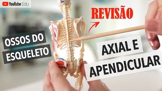 Ossos do esqueleto axial e apendicular REVISÃO  Anatomia etc anatomia sistemaesqueletico [upl. by Hughett]