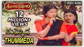 Tummeda Video Song  Super Hit Movie Srinivasa Kalyanam  Venkatesh  Bhanupriya  Gowthami [upl. by Subocaj974]