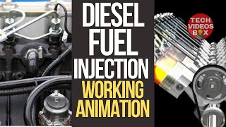 Fuel injector pump how does it work [upl. by Sidnac]