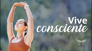 vive consciente [upl. by Athelstan654]